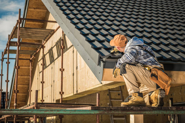 Best Roof Moss and Algae Removal  in Norristown, PA