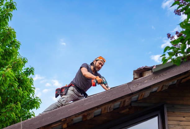 Best Skylights  in Norristown, PA