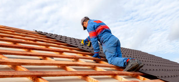 Best Asphalt Shingle Roofing  in Norristown, PA